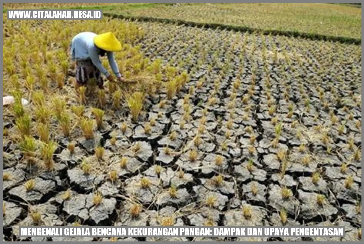 Gambar bencana kekurangan pangan