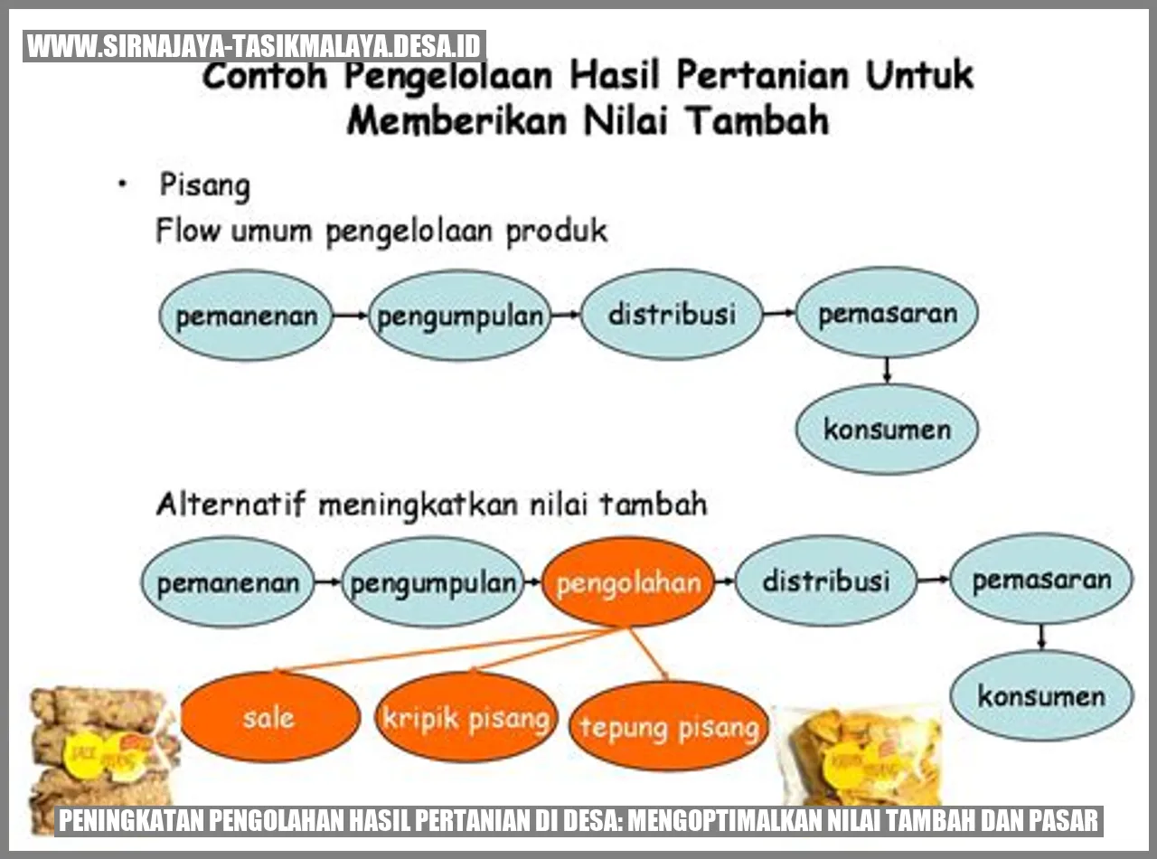 Peningkatan Pengolahan Hasil Pertanian di Desa: Mengoptimalkan Nilai Tambah dan Pasar
