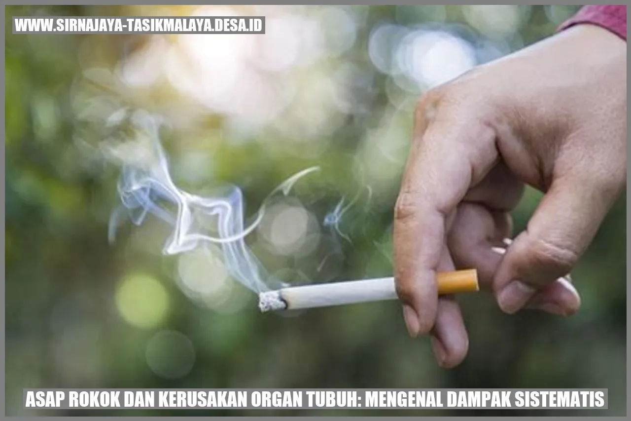 Asap rokok dan organ tubuh