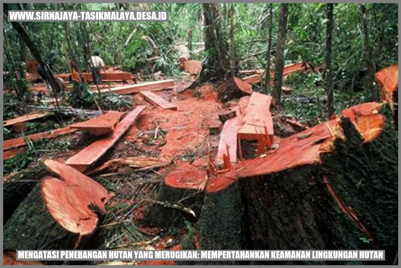 Penebangan Hutan