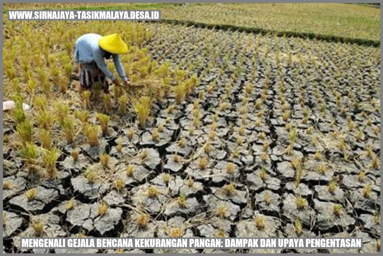 Mengenali Gejala Bencana Kekurangan Pangan