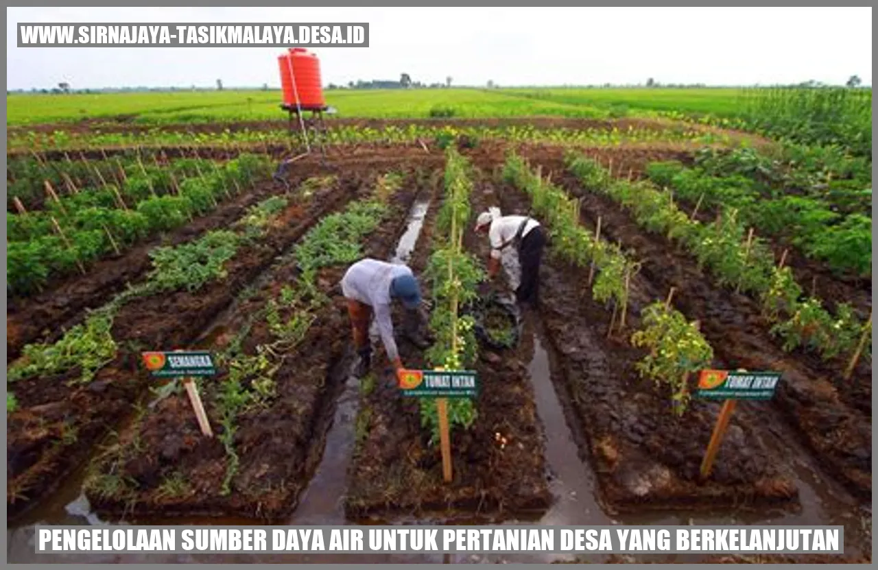 Gambar pengelolaan sumber daya air untuk pertanian desa yang berkelanjutan