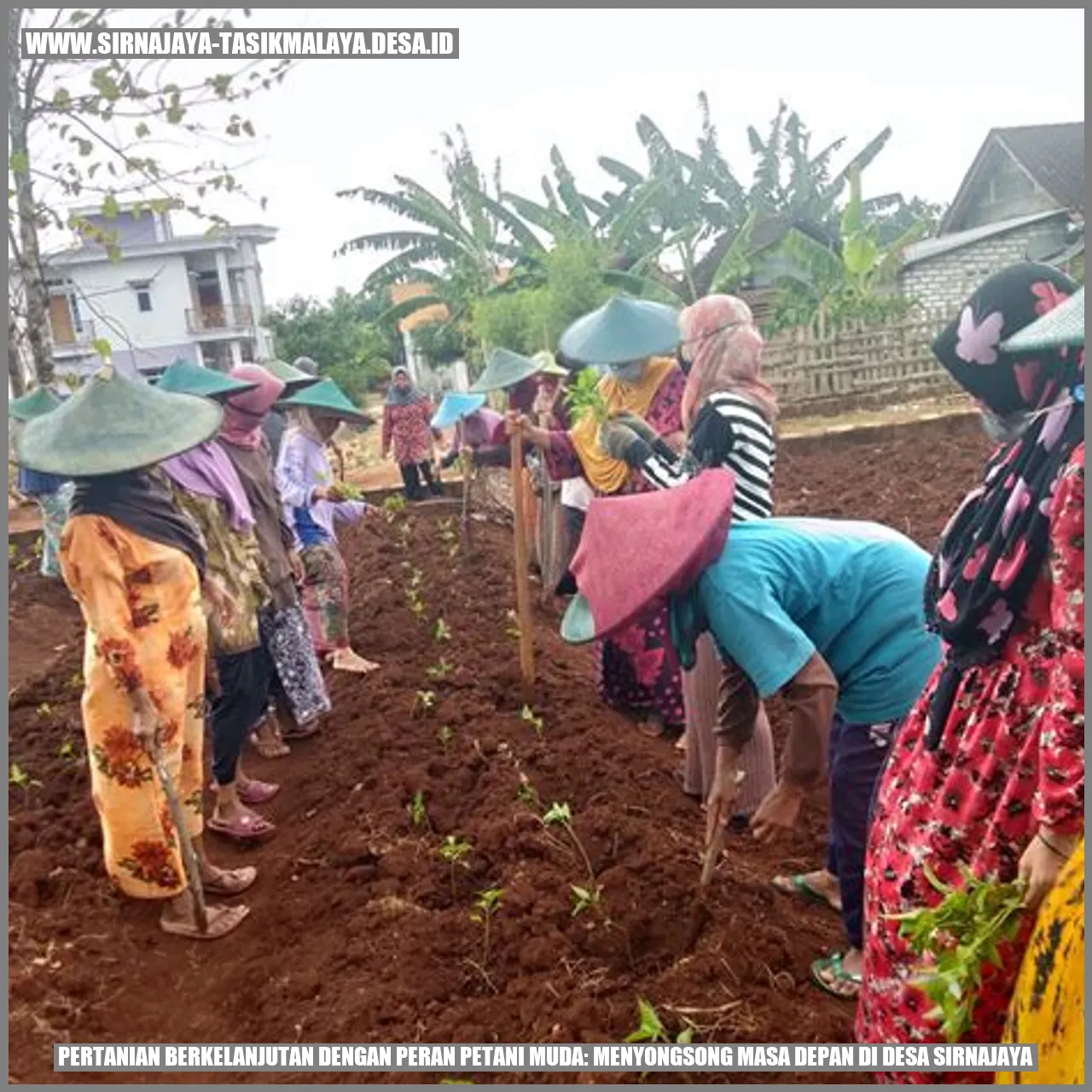 Pertanian Berkelanjutan dengan Peran Petani Muda: Menyongsong Masa Depan di Desa Sirnajaya