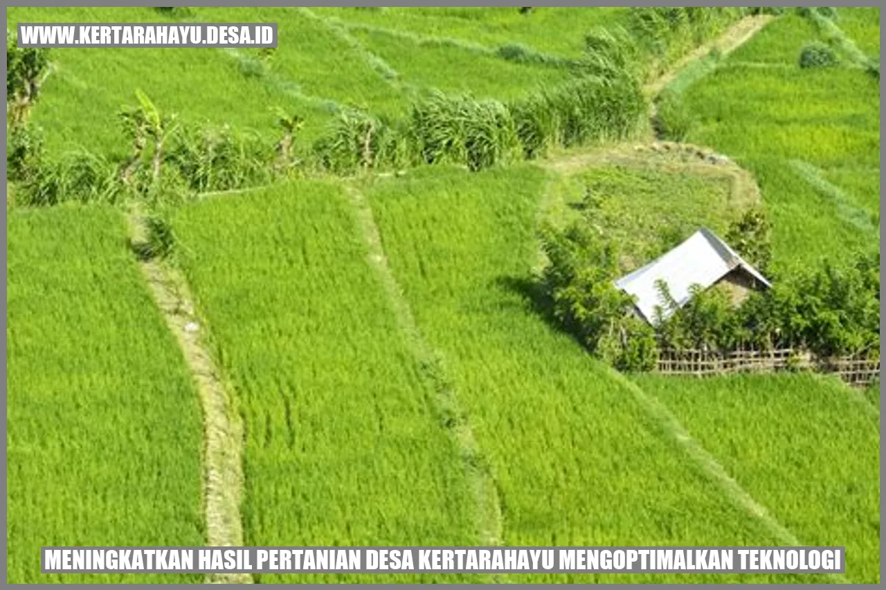Meningkatkan Hasil Pertanian: Desa Kertarahayu Mengoptimalkan Teknologi