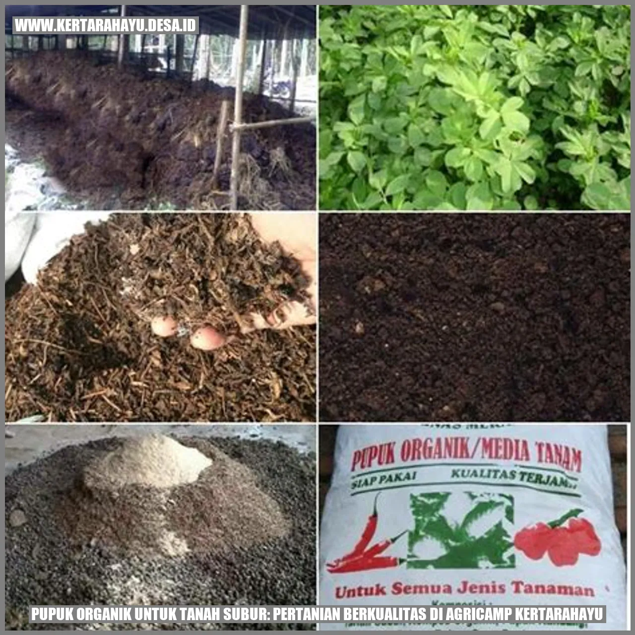 Gambar Pupuk Organik