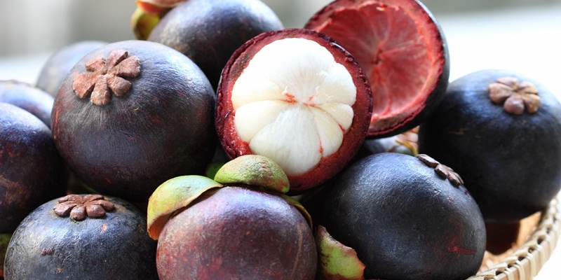 Manggis Berkilau: Pesona Musim Buah yang Menggoda di Desa Papaya