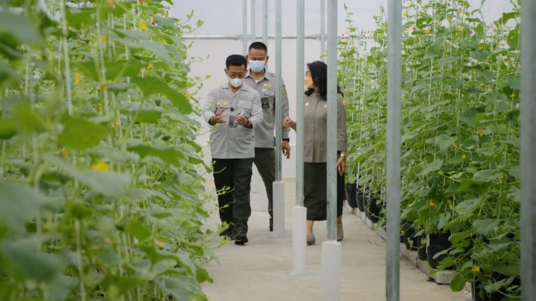 Pertanian Cerdas Teknologi: Menyajikan Pembelajaran Inovatif bagi Pengunjung Agrowisata Desa Papayan