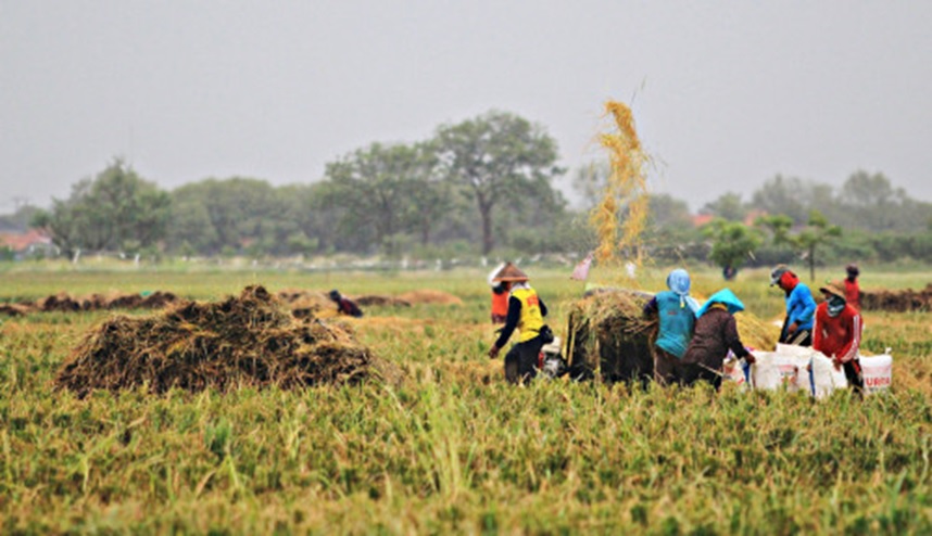 Potensi Kreativitas Pemuda Desa Papayan: Menggerakkan Ekonomi Berbasis Lokal