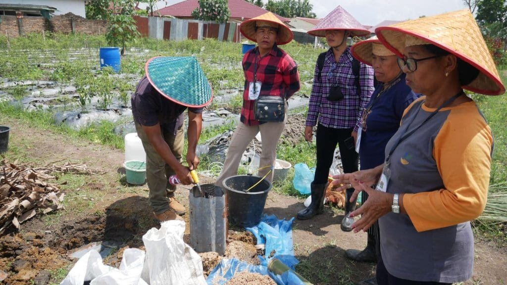 Pelatihan Pertanian Organik: Memperkenalkan Metode Pertanian Ramah Lingkungan