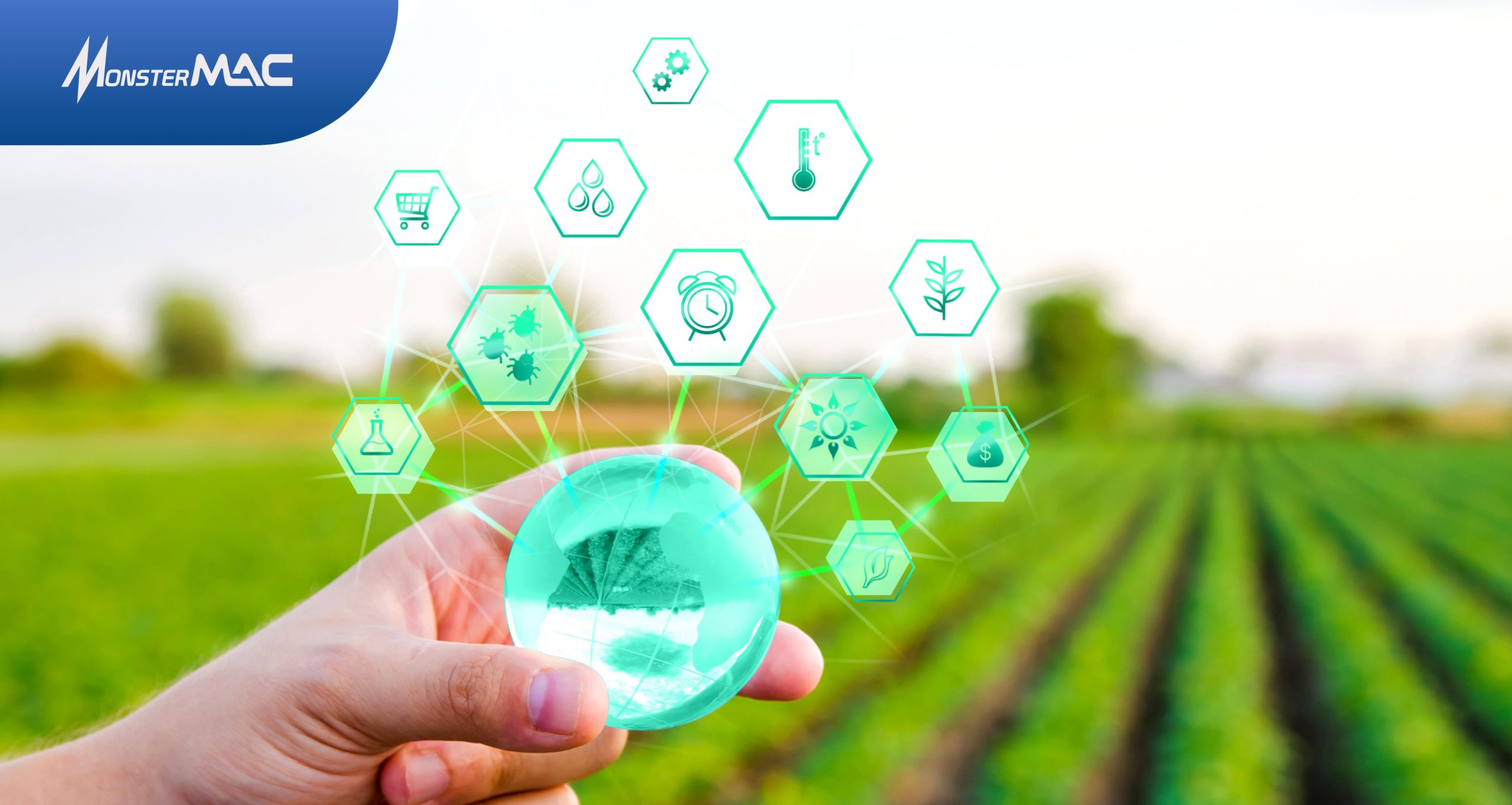 Agricampp: Teknologi IoT yang Meningkatkan Produktivitas Pertanian di Desa Papayan