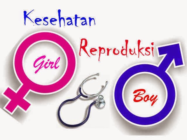 Mencegah Komplikasi, Menjaga Kesejahteraan: Edukasi Kesehatan Reproduksi Wanita di Papayan