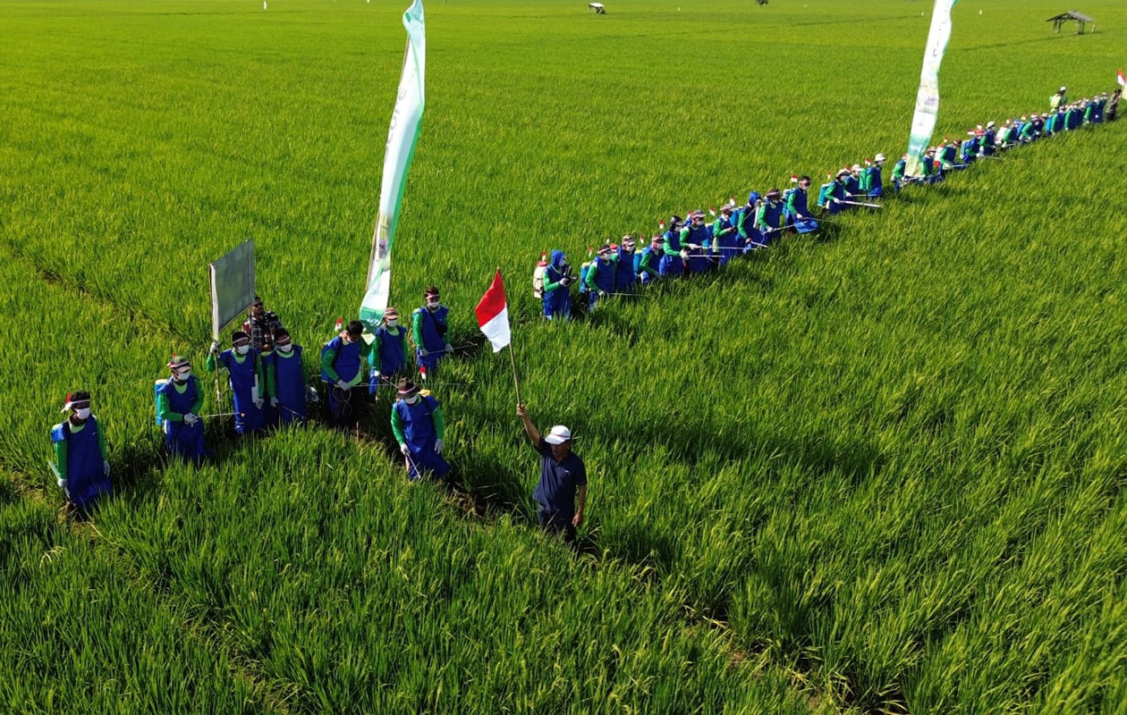 Menuju Pertanian yang Efisien: Peran Pelatihan dalam Mengadopsi Teknologi Terkini